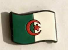Pin's Palestine